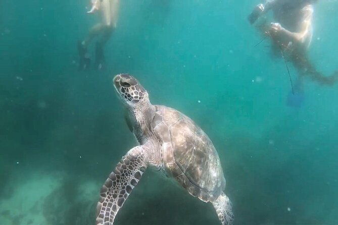 two-hour-kayak-and-snorkel-tour-for-two-in-la-jolla-2
