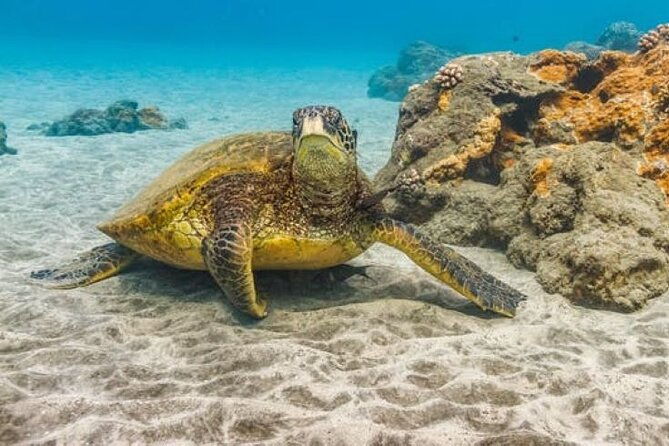 two-stop-snorkel-adventure-from-maui-2