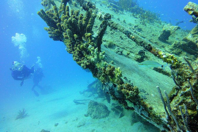 two-tank-dive-for-certified-diving-in-st-thomas