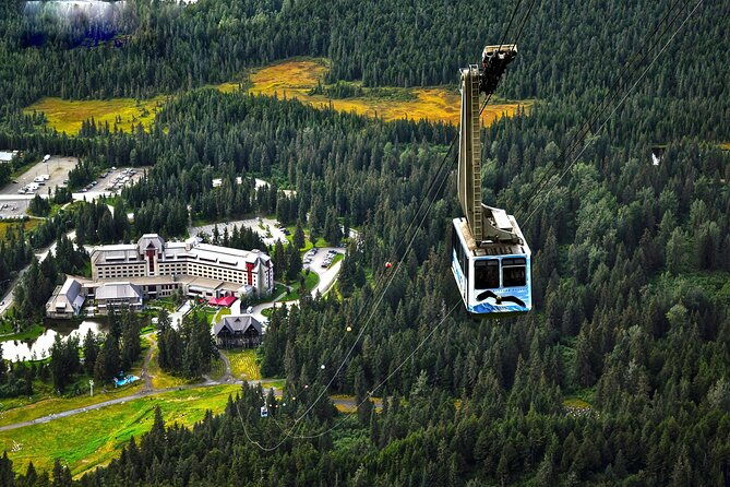 ultimate-anchorage-and-turnagain-arm-private-full-day-tour