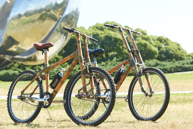 ultimate-buenos-aires-bike-tour-all-day-all-inclusive-all-city
