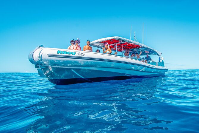 ultimate-kona-dolphin-watch-kealakekua-bay-snorkel