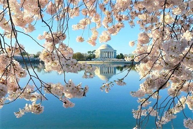 ultimate-private-city-tour-of-washington-dc-up-to-5-guests
