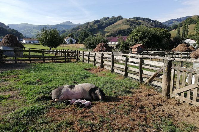 unspoiled-french-basque-countryside-private-cultural-adeventure