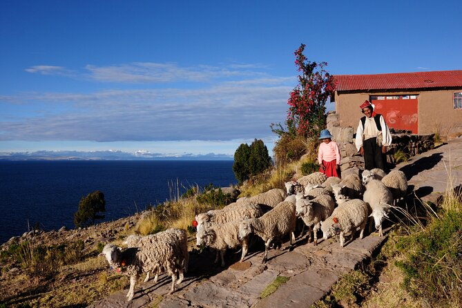 uros-reed-floating-islands-taquile-island-titicaca-puno-full-day