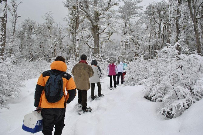 ushuaia-night-adventure-snowshoeing-and-snowmobiling