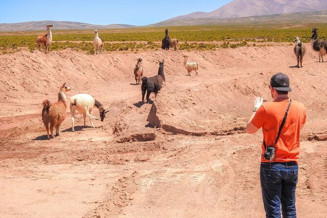 uyuni-salt-flats-and-colored-lagoons_3-days_shared-tour_english-speaking-guide
