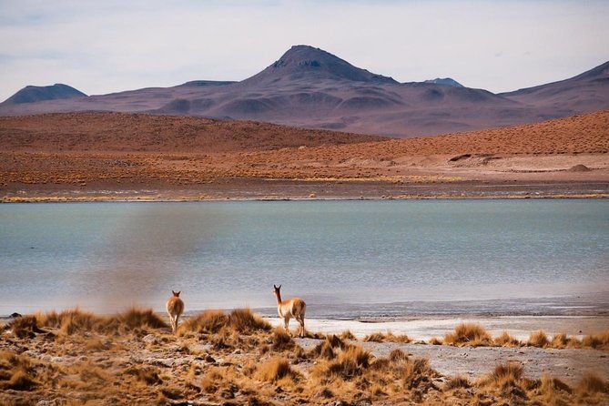 uyuni-salt-flats-private-3-day-tour-palacio-sal-5-tayka-3-hotels