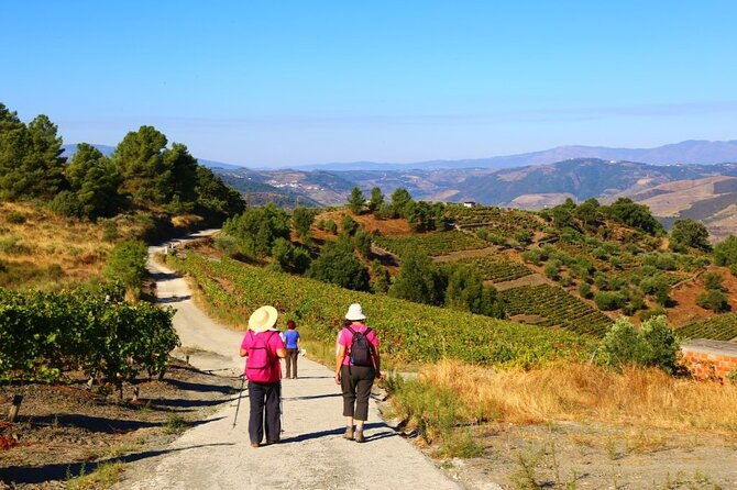 valenca-do-douro-walking-tour