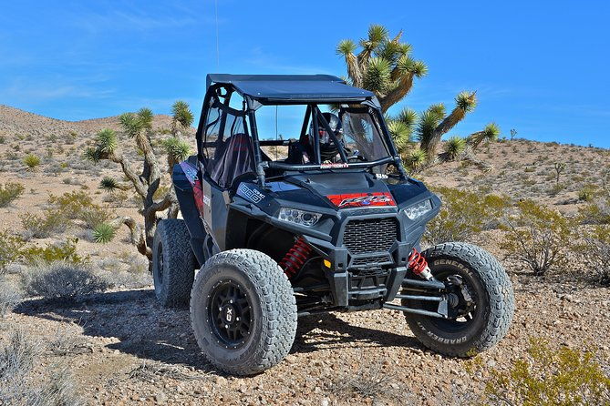 vegas-desert-rzr-adventure-w-lunch-at-the-historic-pioneer-saloon