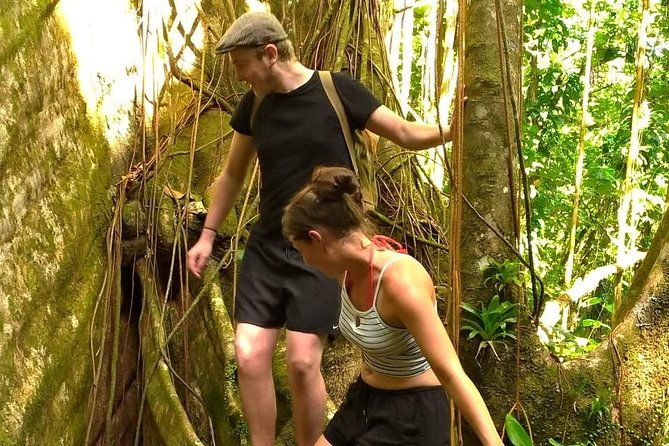vermont-nature-trail-tour-with-frasers-taxi-and-tours