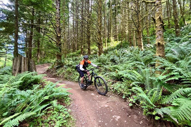 viator-exclusive-half-day-mountain-bike-tour-from-seattle