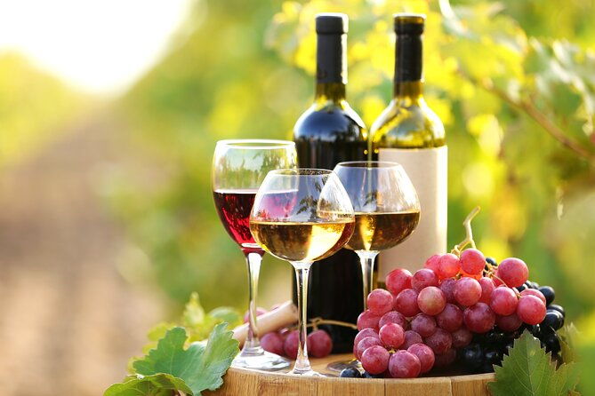 vine-dine-tale-11-plate-lunch-wine-discovery-cooking-mastery