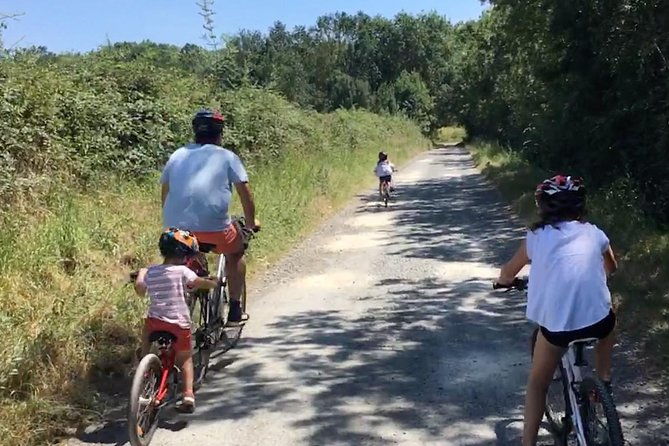 vineyard-cycle-tours-in-and-around-chinon-in-the-loire-valley-3
