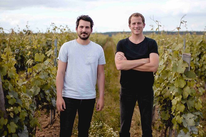 vineyard-tour-and-wine-tasting-in-davron