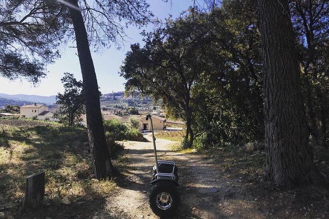 vineyard-visit-in-gyropode-visit-of-cave-tasting-wines-of-bandol