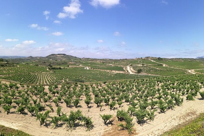 visit-a-winery-in-rioja