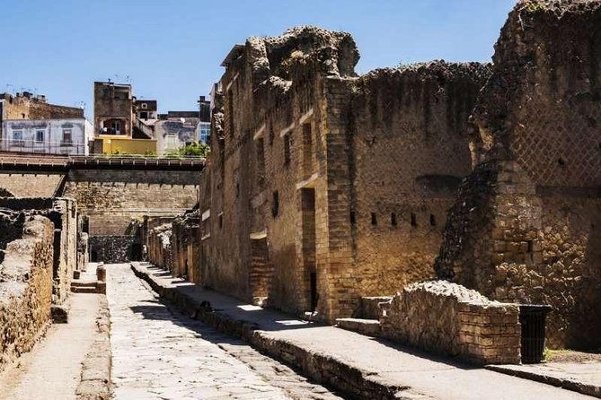 visit-herculaneum-with-an-expert-professional-guide-2-3-hours