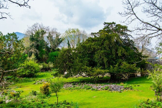 visit-innisfallen-island