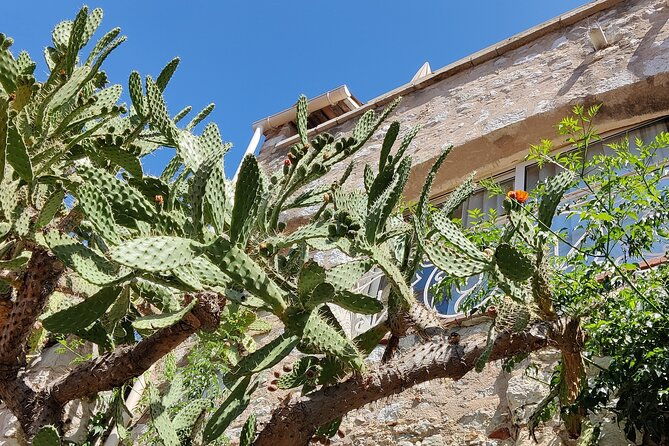 visit-of-the-medieval-village-of-eze