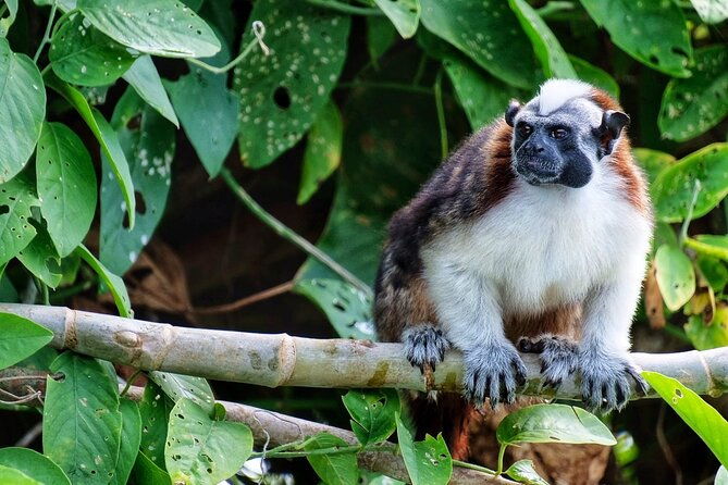 visit-the-indians-and-discover-the-rainforest