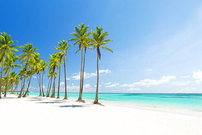 vista-sol-punta-round-trip-shuttle-punta-cana-airport