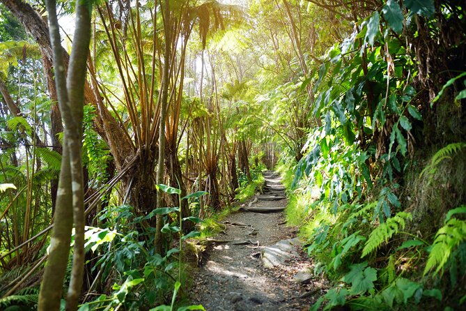 volcanoes-national-park-guided-small-group-hike