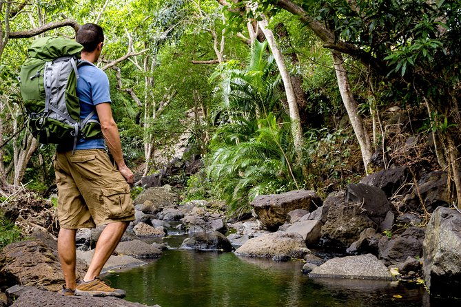 wailua-valley-waterfalls-audio-driving-tour-2
