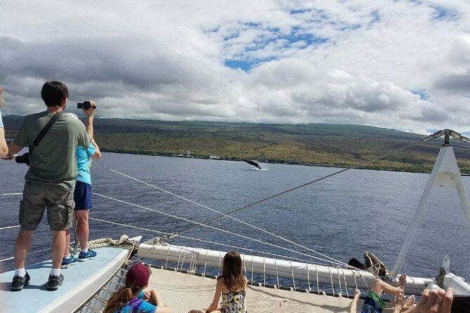wake-up-with-the-whales-cruise-from-kawaihae-harbor