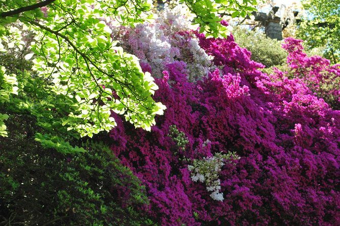 walking-tour-with-a-private-tour-guide-in-the-botanical-gardens-of-villa-taranto