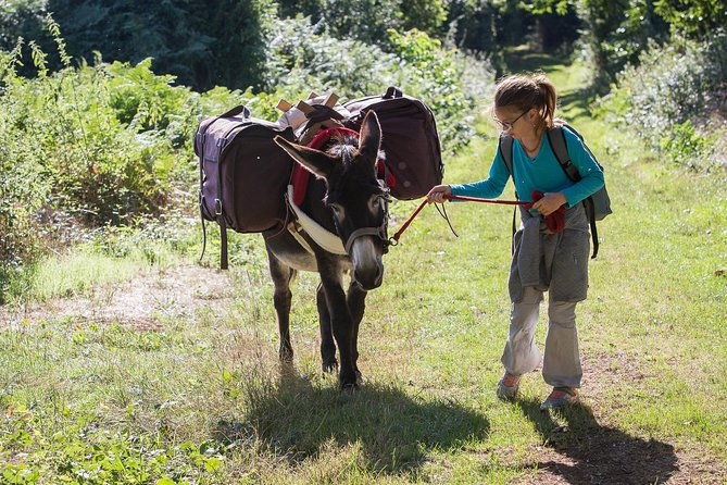 walks-and-hikes-with-donkeys