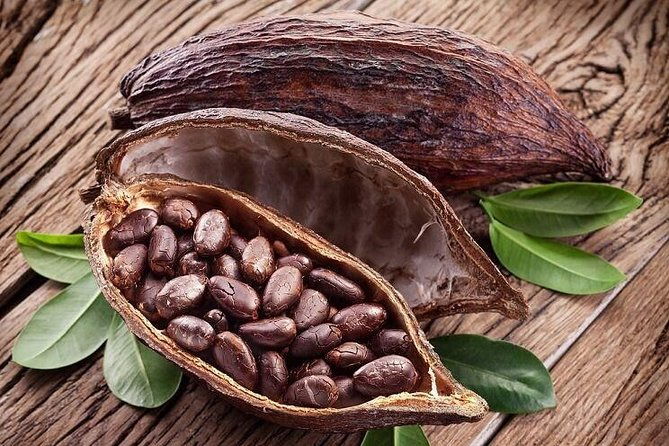 waterfall-rainforest-chocolate-tour-historical-sites-private