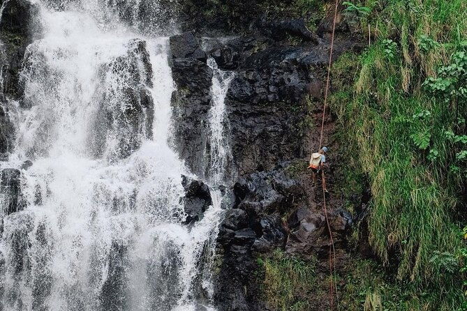 waterfall-rappelling-at-kulaniapia-falls-120-foot-drop-15-minutes-from-hilo