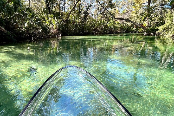 weeki-wachee-clear-paddle-board-ecotours