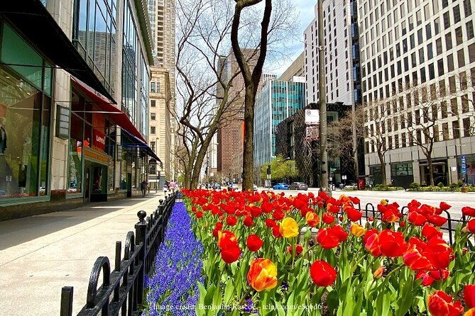welcome-to-chicago-private-half-day-tour-with-360-observation-deck