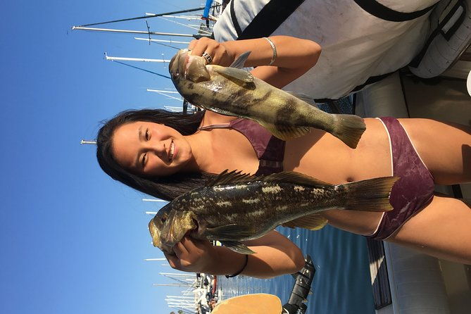 whale-watching-and-fishing-combination-excursions