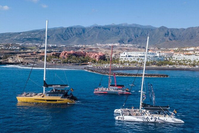 whale-watching-catamaran-to-los-gigantes-masca-including-drinks-warm-lunch-2