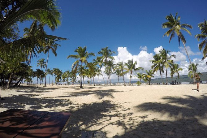 whale-watching-in-samana