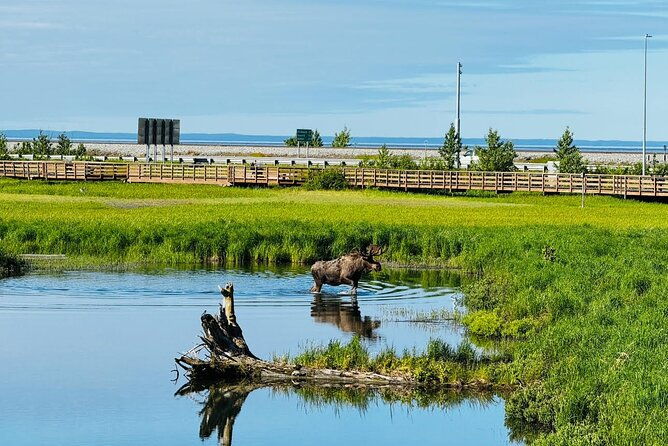 whittier-to-anchorage-land-transfer-tour