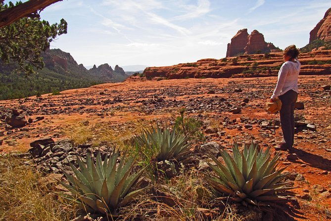 whole-day-sedona-vortex-experience-2
