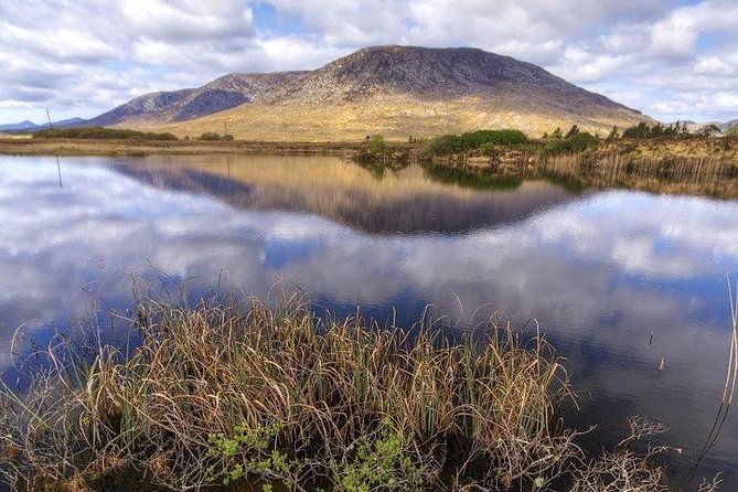 wild-brown-trout-fishing-lough-corrib-french-speaking-ghillie-guide-full-day