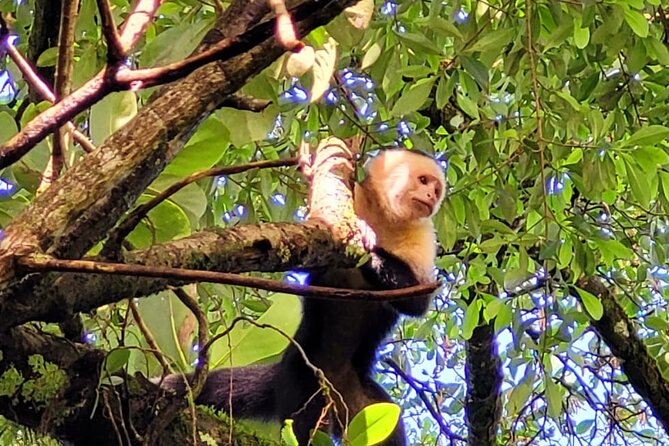 wild-nature-and-adventure-combo-from-guanacaste