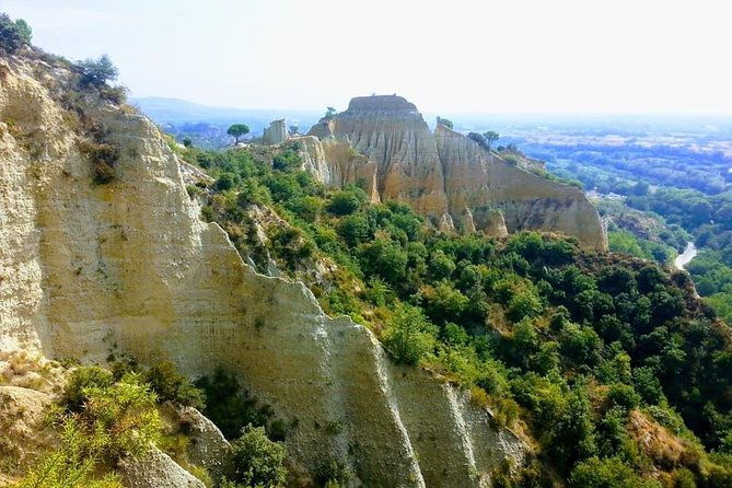 wild-organs-grand-landscape-plants-geology-birdsongs-3