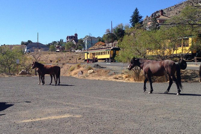 wild-west-day-trip-to-virginia-city-from-tahoe-with-train-ride