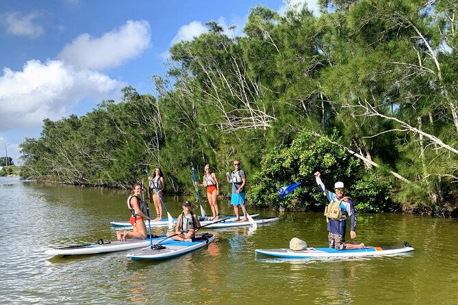 wildlife-refuge-dolphin-manatee-mangrove-kayak-or-paddleboarding-tour