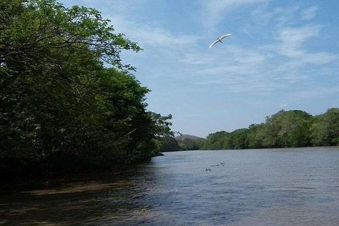 wildlife-tour-at-palo-verde-national-park