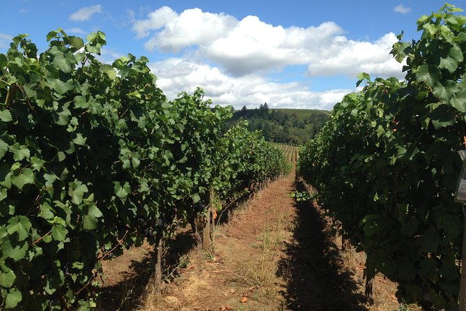 willamette-valley-wine-tasting-tour-from-portland