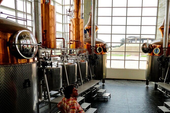 wine-and-pisco-tasting-experience-by-caravedo-and-tacama-in-ica