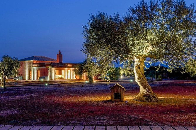 wine-olive-oil-tasting-in-an-organic-farm-in-laconia-greece