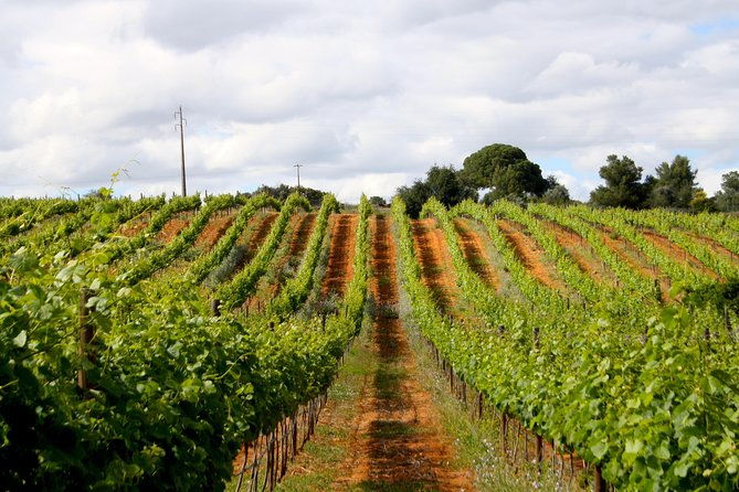 wine-tasting-and-art-tour